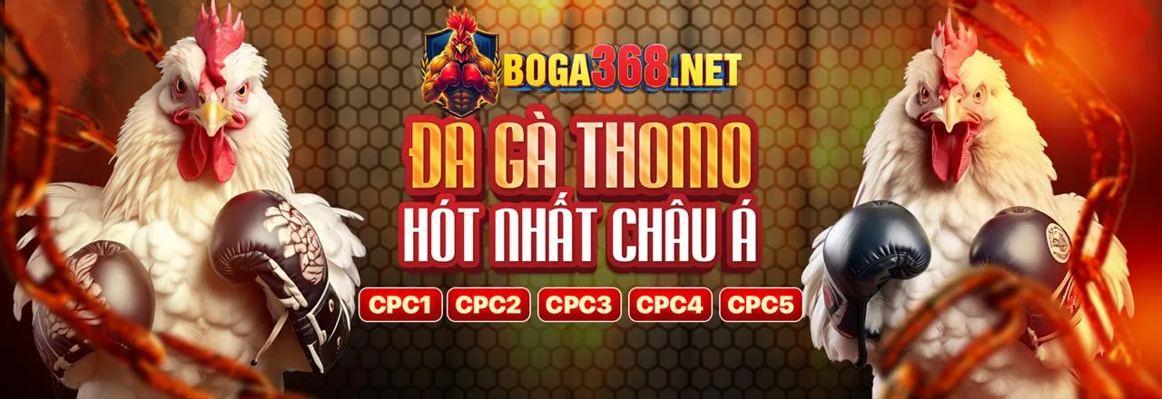 Hình ảnh minh họa các loại mã 77win khác nhau và lợi ích của chúng
